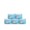 Queen Glory Sanitary Napkin